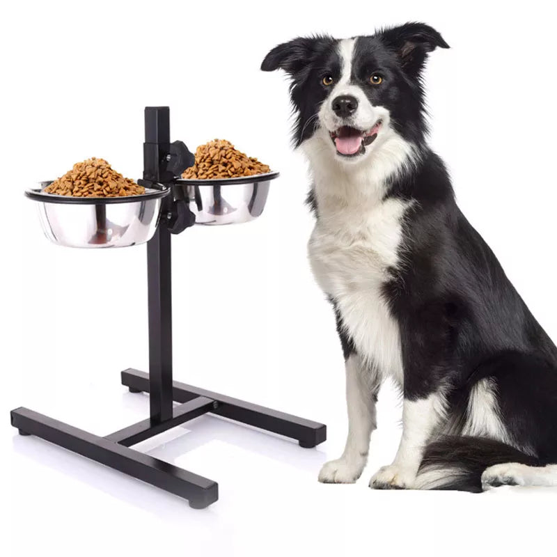 Adjustable Standing Dog Bowl