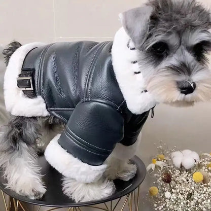 Leather Dog Motorcycle Jacket