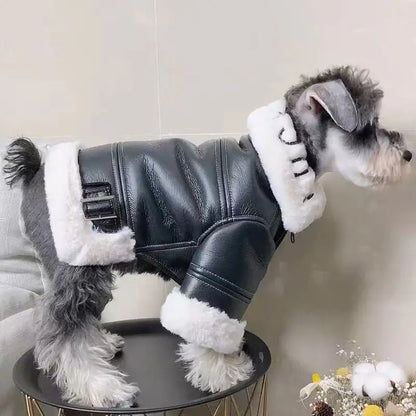 Leather Dog Motorcycle Jacket