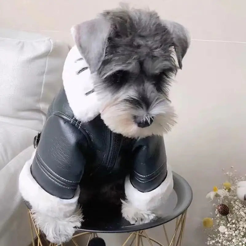 Leather Dog Motorcycle Jacket