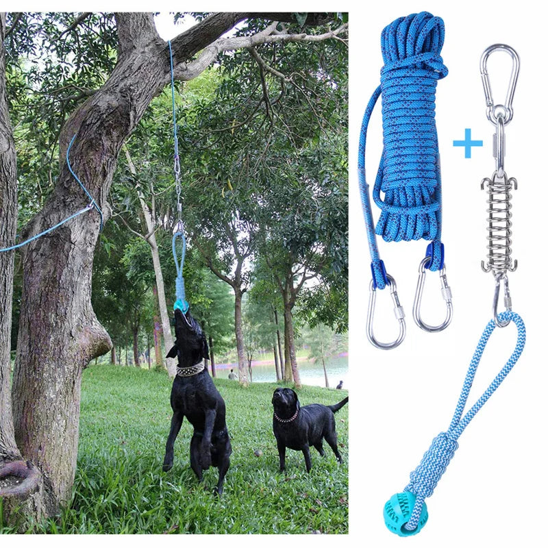 Spring Pole Dog Rope Outdoor Toy