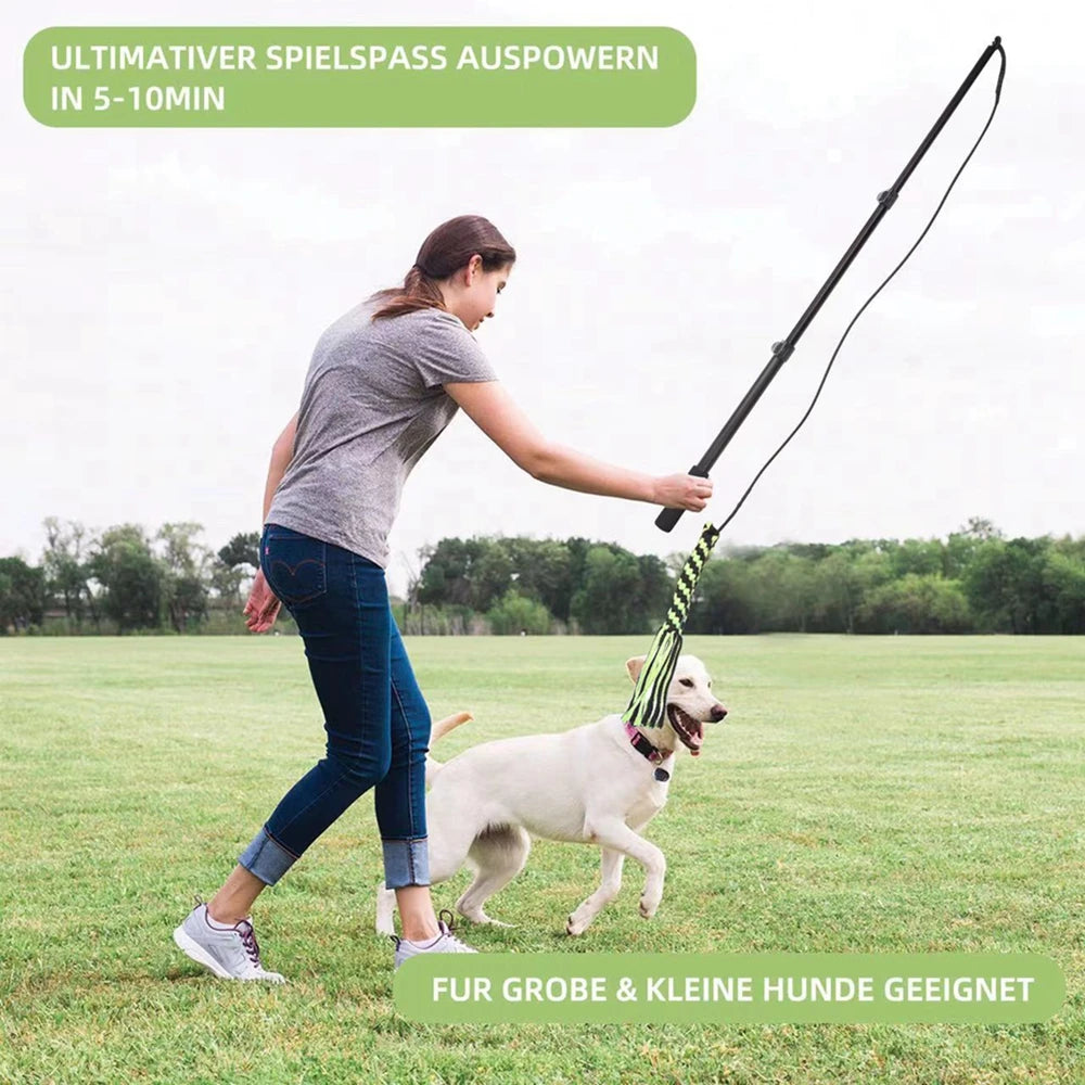 Extendable Flirt Pole Interactive Dog Toy