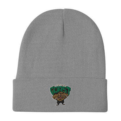 Green Third Coast Beanie